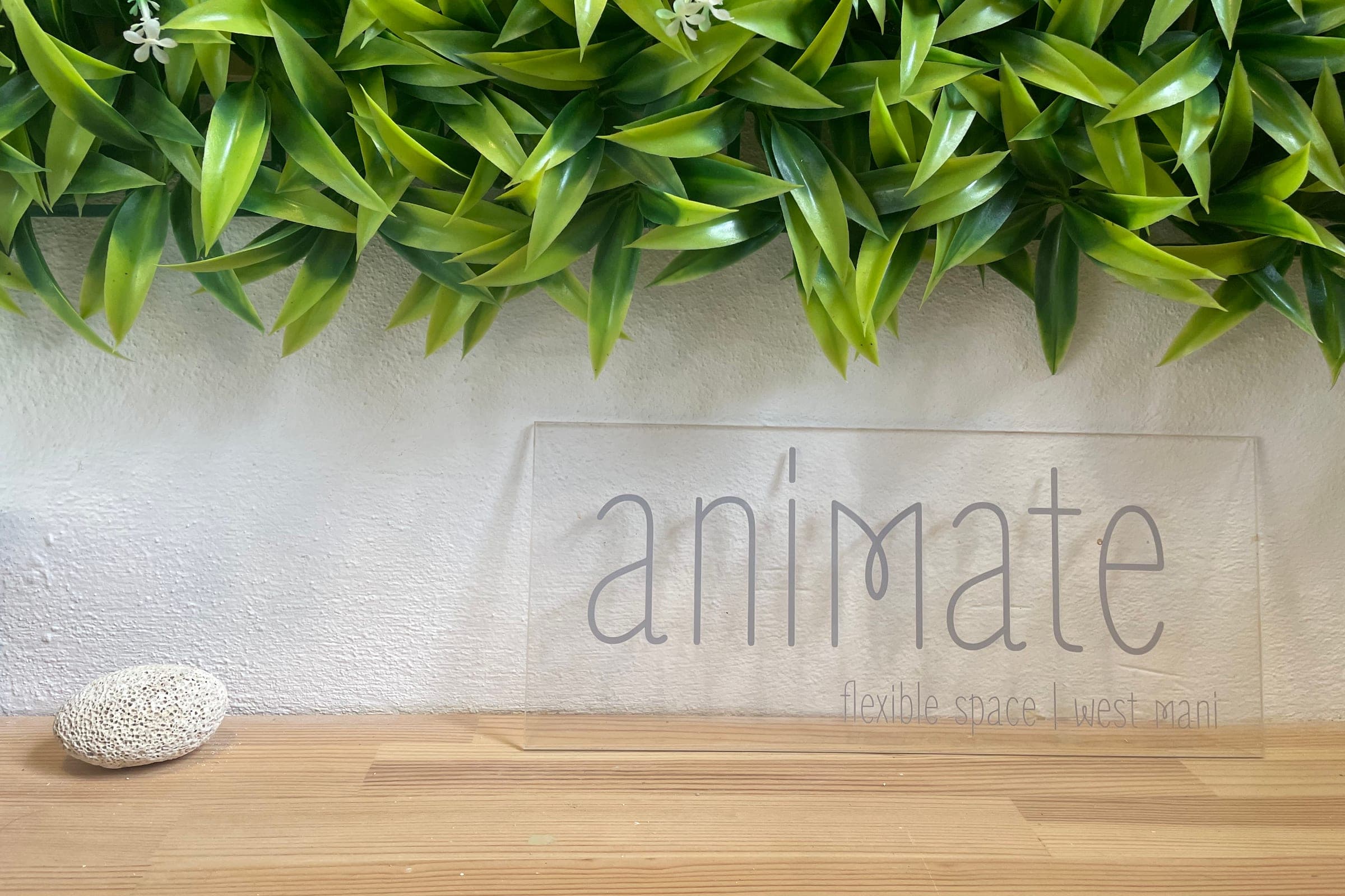 a clear acrylic sign reading animate, flexible space | west mani, below green leaves